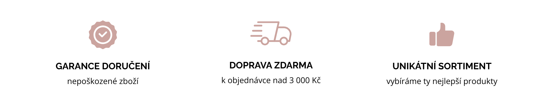 Text odstavce_1